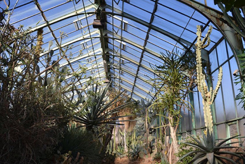 Lyon Botanical Garden, Lyon, France, France